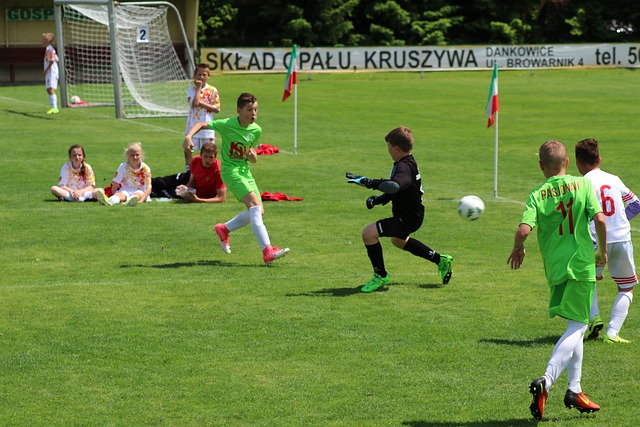 成为国内外 成为国内外