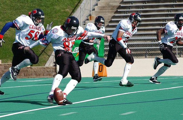 以其惊人的 以其惊人的