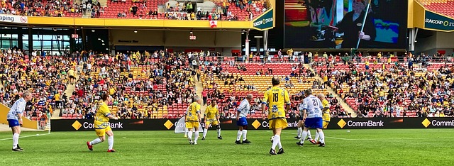 他们的赛季 他们的赛季