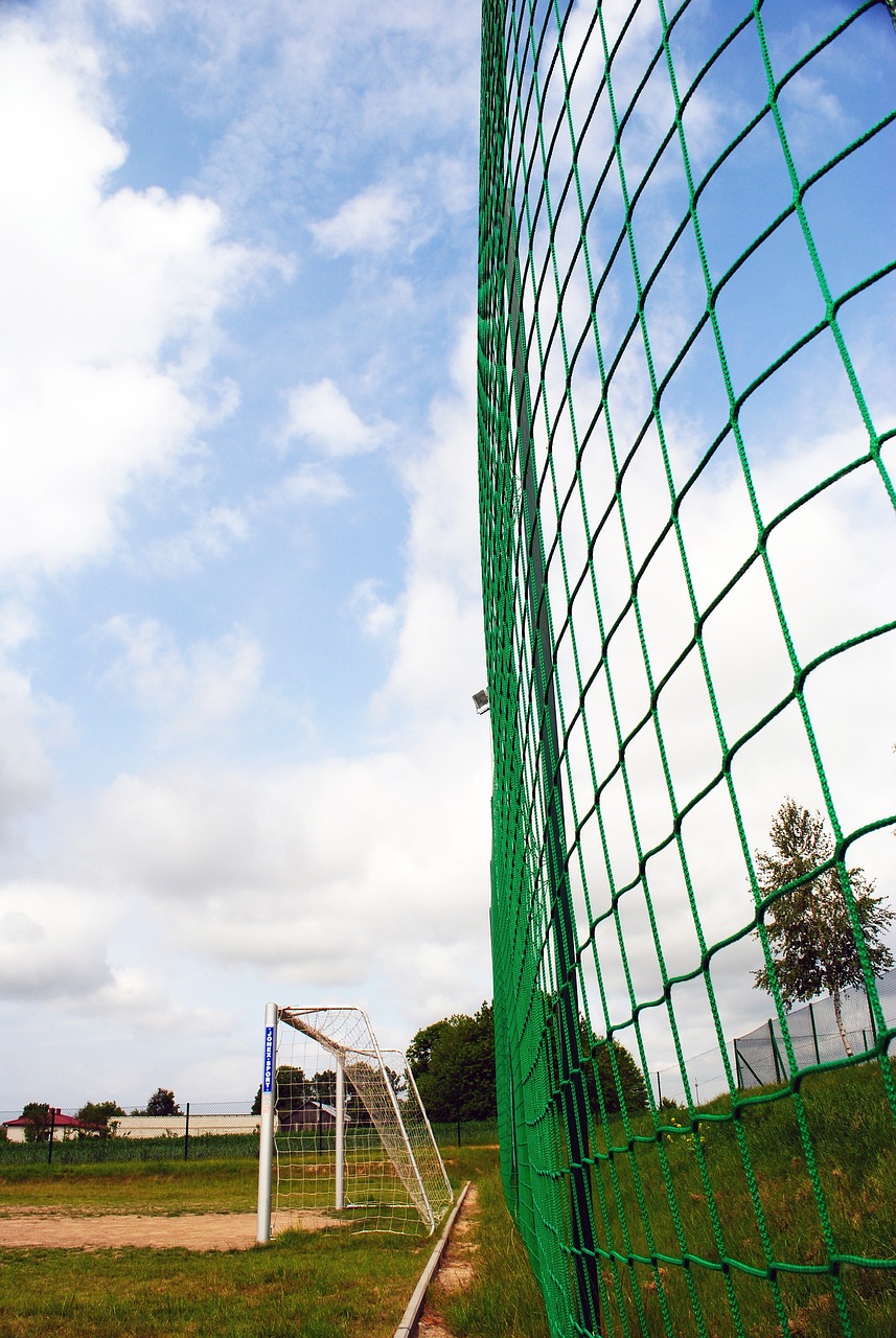 星的前进步 星的前进步